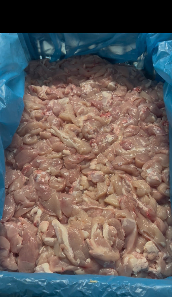 Pollo