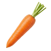 Zanahoria